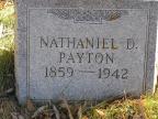 Thumbnail for 'Nathaniel D. Payton'