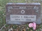 Thumbnail for 'Laura F. Collins'