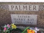 Thumbnail for 'Harry Ray Palmer'