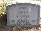 Thumbnail for 'Danny A. Sumpter'