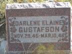 Thumbnail for 'Darlene Elaine Gustafson'