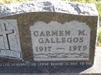 Thumbnail for 'Carmen M. Gallegos'