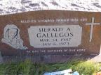 Thumbnail for 'Herald A. Gallegos'