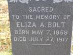 Thumbnail for 'Eliza A. Bolt'
