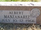 Thumbnail for 'Albert Manzanarez'
