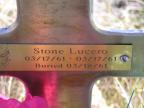 Thumbnail for 'Stone Lucero'