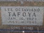 Thumbnail for 'Lee Octaviano Tafoya'