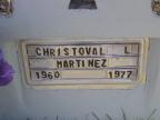 Thumbnail for 'Christoval L. Martinez'