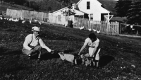 Thumbnail for 'Frank Harnagle and Margie Haas feeding lambs'