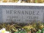 Thumbnail for 'Pedro and Felipe Hernandez'