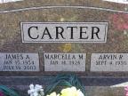 Thumbnail for 'James A., Marcella M. and Arvin R. Carter'