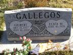Thumbnail for 'Gilbert and Eliza Gallegos'