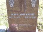 Thumbnail for 'Shane Lewis Hansen'