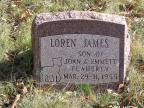 Thumbnail for 'Loren James Flaherty'