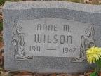 Thumbnail for 'Anne M. Wilson'