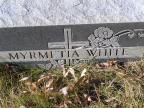 Thumbnail for 'Myrmetia White'