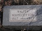 Thumbnail for 'Walter Whitecotton'