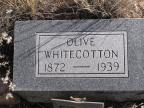 Thumbnail for 'Olive Whitecotton'