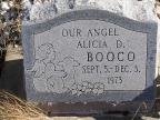 Thumbnail for 'Alicia D. Booco'