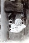 Thumbnail for 'Baby in a Basket'