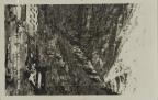 Thumbnail for 'Pandora Mill & Smuggler Mine, Near Telluride Colo.'