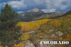 Thumbnail for 'Colorado'