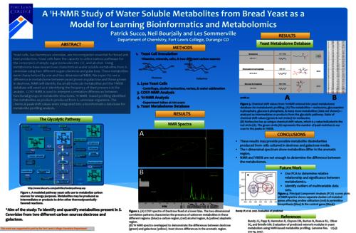 Thumbnail for 'A 1H-NMR Study of Water Soluble Metabolites From Bread Yeast as a Model for Learning Bioinformatics and Metabolomics in the General Biochemistry Lab'
