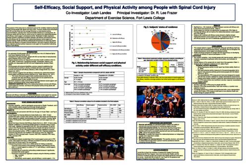 Thumbnail for 'Self-Efficacy, Social Support, and Physical Activity Among People with Spinal Cord Injury'