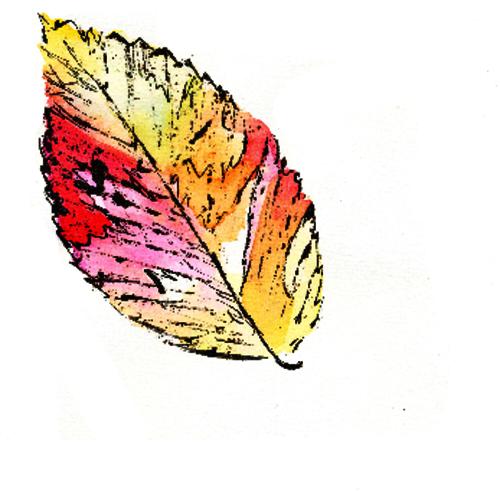 Thumbnail for 'Leaf Series 2'