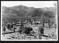Thumbnail for 'General view of contractor's camp'