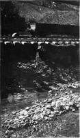 Thumbnail for 'After the Durango (Colo.) Flood of 1911'