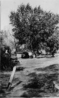Thumbnail for 'Flood of 1911 (Durango, Colo.) Postcards (1)'