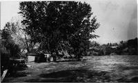 Thumbnail for 'Flood of 1911 (Durango, Colo.) Postcards (3)'