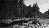 Thumbnail for 'Bridge Remains After Flood of 1911'