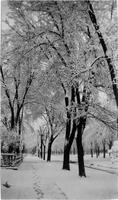 Thumbnail for 'Snowy Street (Durango, Colo.)'