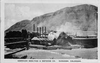 Thumbnail for 'Durango Smelter (Durango, Colo.) (6)'