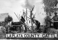 Thumbnail for 'La Plata County Cattlemen's Assoc. Fiesta Days Parade Float (Durango, Colo.)'