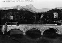 Thumbnail for 'Streetcars on Bridge Over Animas (Durango, Colo.) (1)'