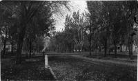 Thumbnail for 'E. 3rd Ave. and 8th St. Looking North (Durango, Colo.) (2)'
