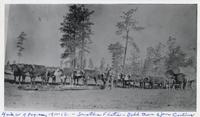 Thumbnail for 'Cattle Team of Jim Carlins at Senetha Flats, Four Miles West of Pagosa Springs (Colo.)'