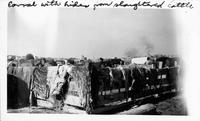 Thumbnail for 'Corral with Hides Drying at Gallup Ceremonial (N.M.)'