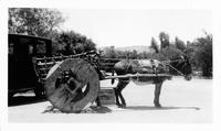 Thumbnail for 'Burro and Wooden Cart at Gallup Ceremonial (N.M.)'