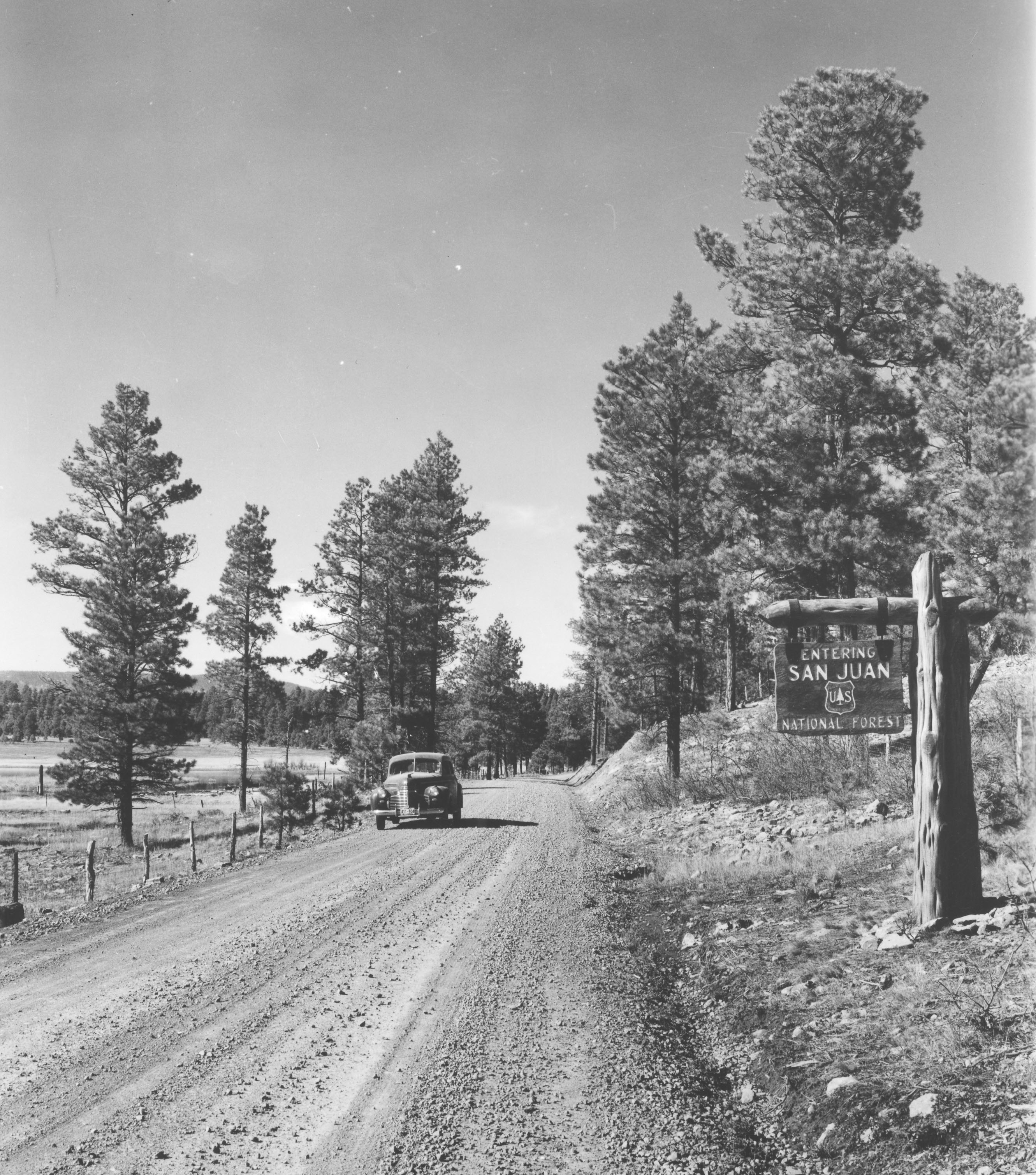 Thumbnail for "San Juan National Forest, United States Forest Service Historic Records Collection" collection
