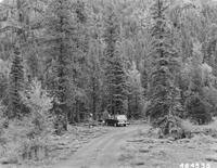 Thumbnail for 'West Fork Campground, San Juan NF'