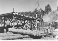 Belarde Mill log rollway & carriage, Pound Brothers TS (RO photo) 