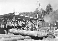 Belarde portable sawmill log rollway & carriage, SJNF