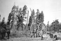 Big Wheels, New Mexico Lumber Company 