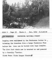 Thumbnail for 'Montezuma Lumber Company logging photo No. 6'