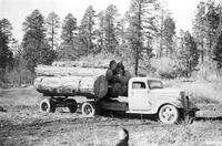 Thumbnail for 'Montezuma Lumber Company. Long Park Draw, Montezuma NF'