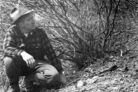 Thumbnail for 'Ranger Dave Johns, Hermosa Mountain '